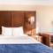 Comfort Inn & Suites Medicine Hat
