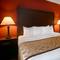 Best Western Dallas Inn & Suites