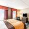Comfort Inn Ballston