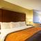 Comfort Inn I-40 East