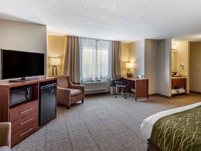 Comfort Inn Denver West