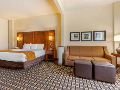 Comfort Suites Summerville