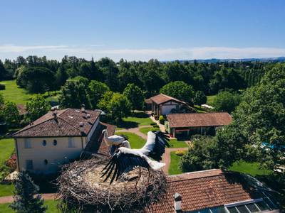 Relais Villa Abbondanzi