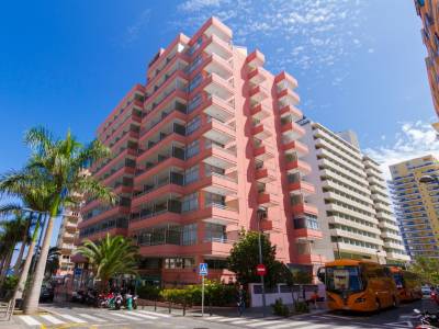 Checkin Concordia Playa