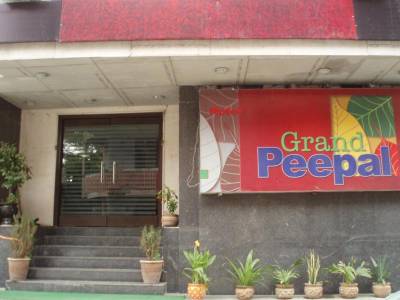 Grand Peepal