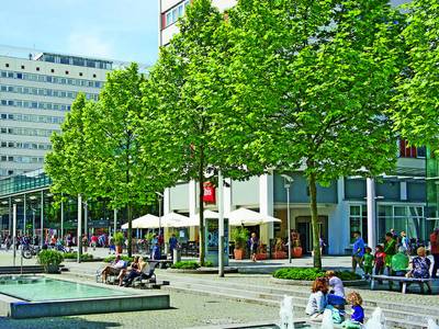 ibis Dresden Koenigstein Hotel