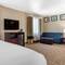 Comfort Suites Plano East - Richardson