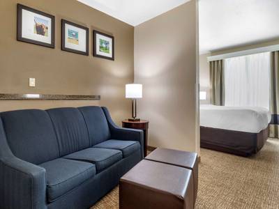 Comfort Suites Plano East - Richardson