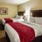 Comfort Suites Bloomington