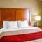 Comfort Inn & Suites Coralville