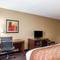 Comfort Inn & Suites Kannapolis - Concord