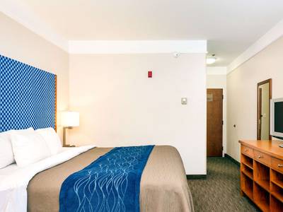 Comfort Inn & Suites Savannah Airport