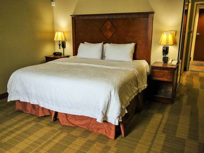 Hampton Inn & Suites McComb