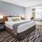 Microtel Inn & Suites by Wyndham Victor/Rochester