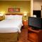 TownePlace Suites Detroit Novi