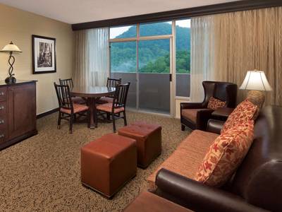 The Park Vista - a DoubleTree by Hilton Gatlinburg