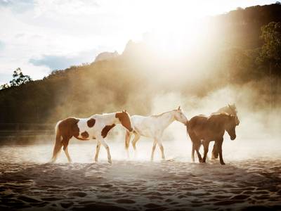 Emirates One & Only Wolgan Valley Resort & Spa