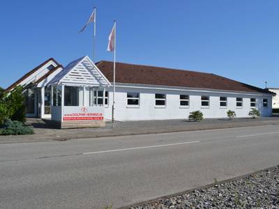 Dolphin Hotel Herning