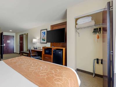 Comfort Suites North