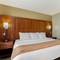 Comfort Suites North