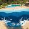 Villaggio Camping Baia Domizia