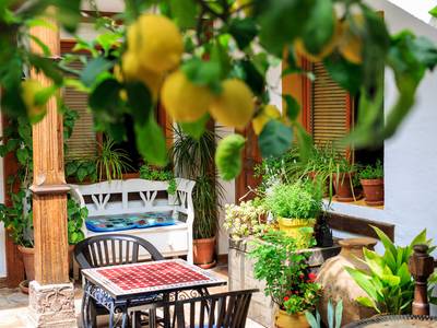 La Posada Del Angel (Foto)