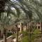 Bab Al Shams Desert Resort & Spa