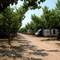 Camping La Llosa