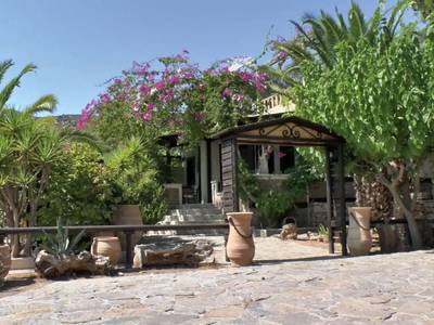 Stella's Traditional Studios