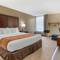 Comfort Inn Executive Park