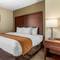 Comfort Inn Executive Park