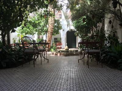 Riad Ifoulki (Foto)