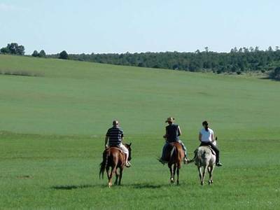 Zion Mountain Resort (Foto)