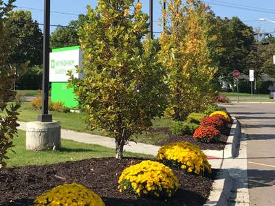 Wyndham Garden Ann Arbor