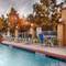 Best Western Plus Sam Houston Inn & Suites