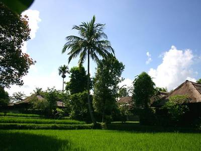 Ananda Cottages