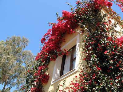 Residenz Borgo Degli Ulivi