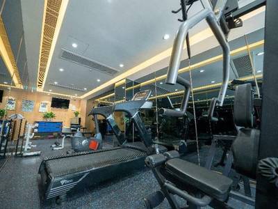 Golden Dragon (Foto)