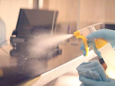 Quality Inn Rochester