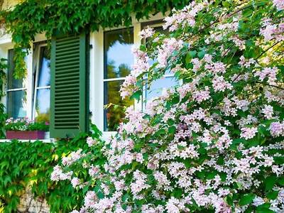 Hotel Döllnsee Schorfheide