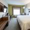 Holiday Inn Express & Suites Chattanooga (East Ridge)