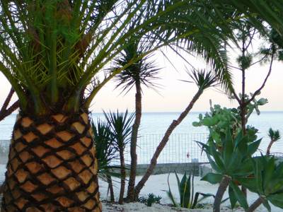 Villa Oasis Residence