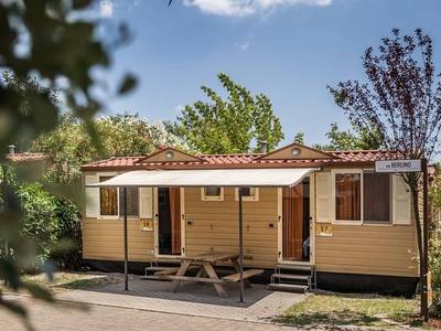 Roma Camping In Town