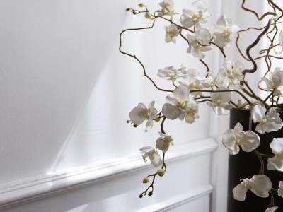 Hôtel  d'Angleterre