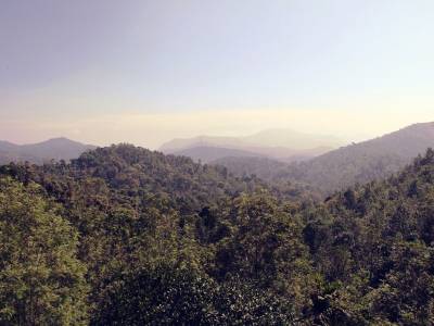 Oxygen Resorts Wild Corridor