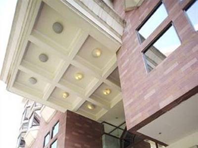 The Paradise by Tunga