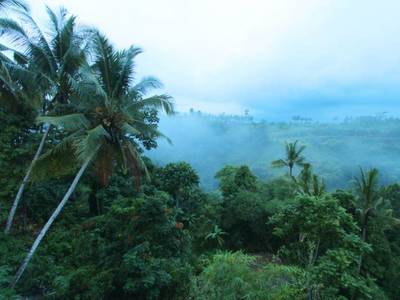 Richland Inn & Suites