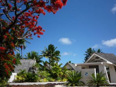 The Little Polynesian