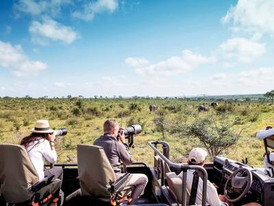 Londolozi Game Reserve