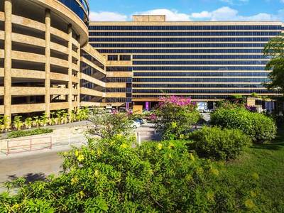 Lotus Pang Suan Kaew